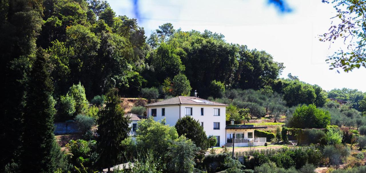 Agriturismo Terra Volonteri Montecatini Terme Exterior foto