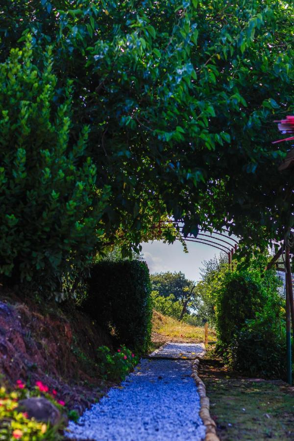 Agriturismo Terra Volonteri Montecatini Terme Exterior foto