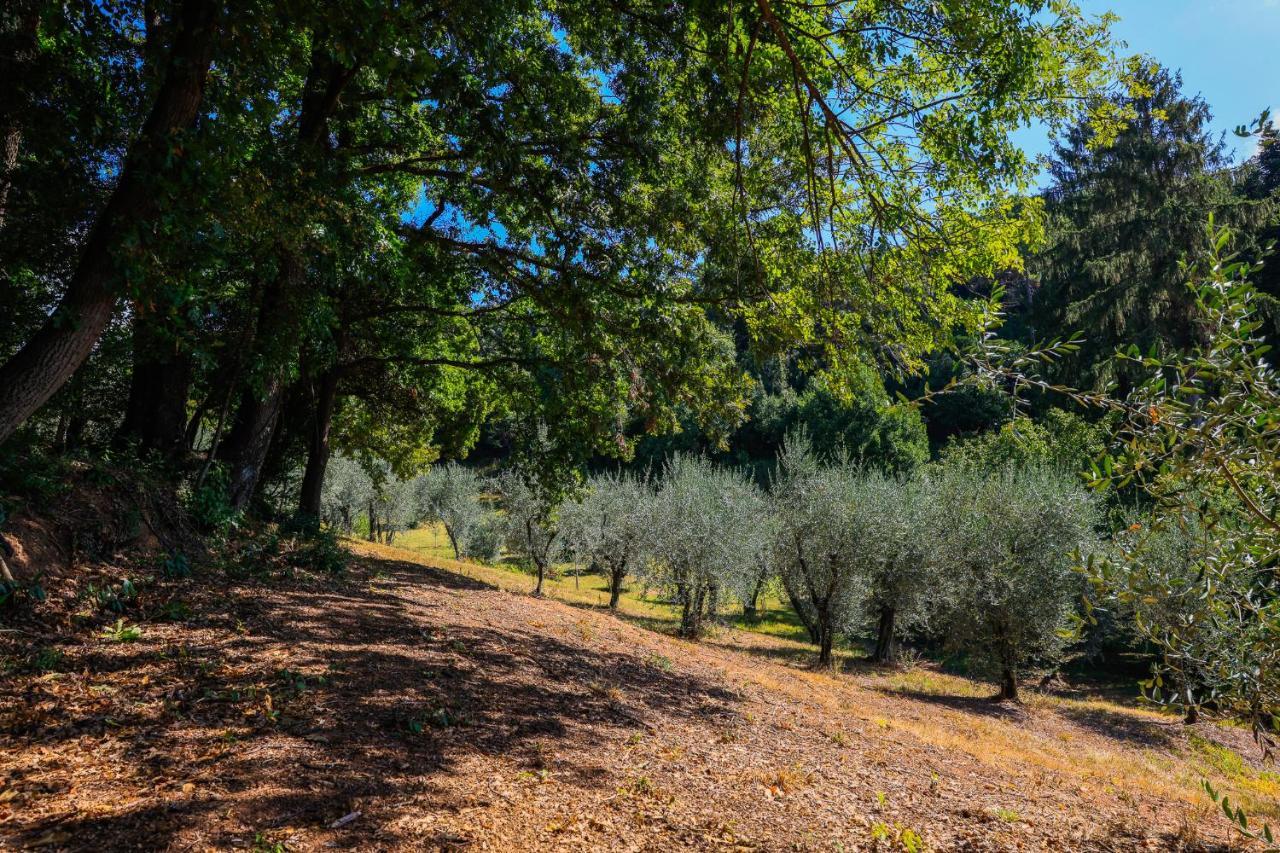Agriturismo Terra Volonteri Montecatini Terme Exterior foto